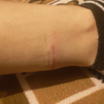 Polaris Botları: Sert Deri, Yara Ve Müşteri Hizmetleri Hayal Kırıklığı