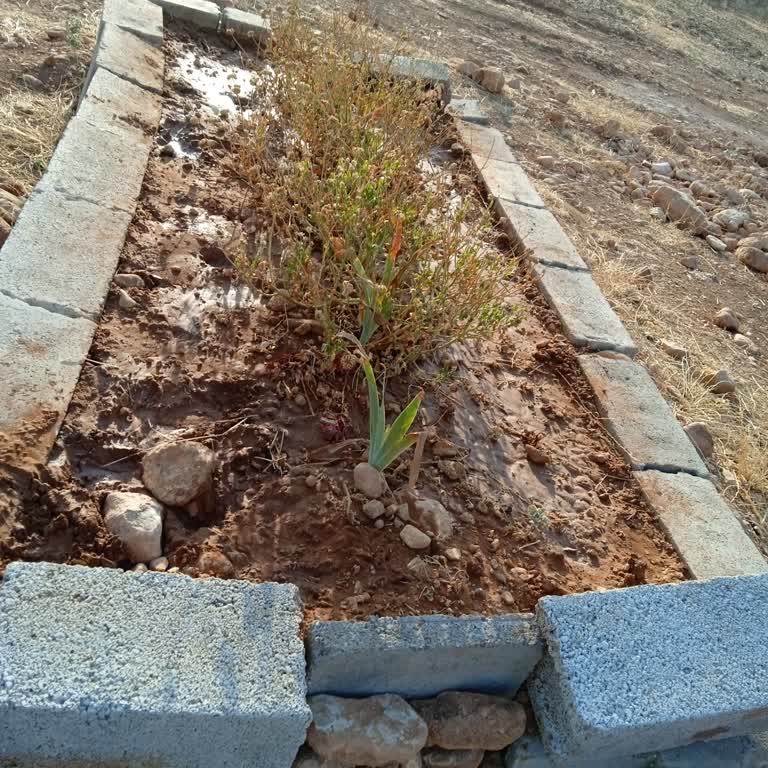 Fatura Yansıtma Limiti Yükseltme Talebi
