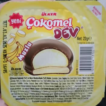 Çokomel'de Kurt Ve Örümcek Ağı Şoku!