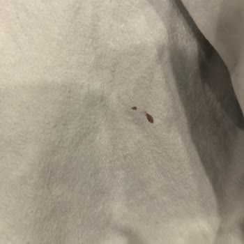 Batman Öğretmenevi'nde Hijyen Sorunu: Kirli Odalar Ve Yetersiz Temizlik