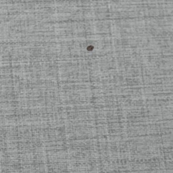 Valencia Yemek Masası Hayal Kırıklığı