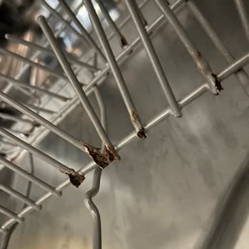 Teka Bulaşık Makinesi Sepetlerinin Paslanma Sorunu Ve Yüksek Servis Ücreti