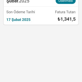 Beklenmedik Yüksek Fatura Sorunu