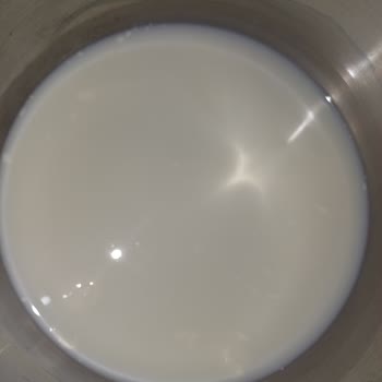 Birşah Sütünden Çıkan Tuhaf Maddeler