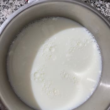 Bozuk Süt Ürünleriyle Karşılaşma