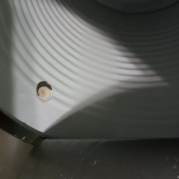 Konserve Bezelyede Salyangoz Şoku