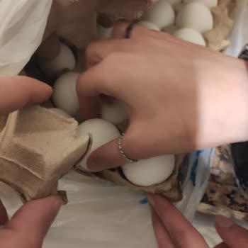 Bozuk Yumurta İadesinde Mağaza Sorunu