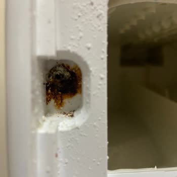 Bosch Çamaşır Makinesi Garanti Sorunları Ve Paslanma Problemi