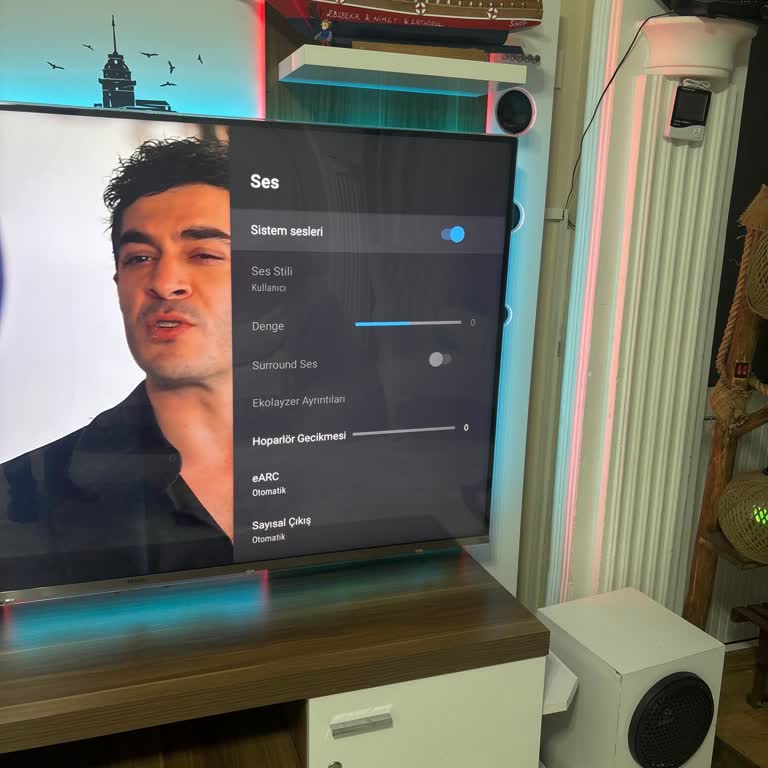 Vestel TV Ses Ayarlarına Erişememe Sorunu