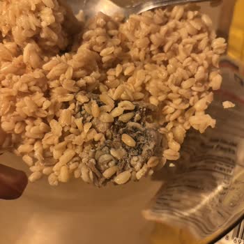 Yayla Nohutlu Bulgur Pilavında Küf Şoku