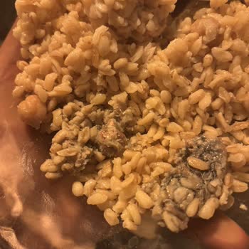 Yayla Nohutlu Bulgur Pilavında Küf Şoku