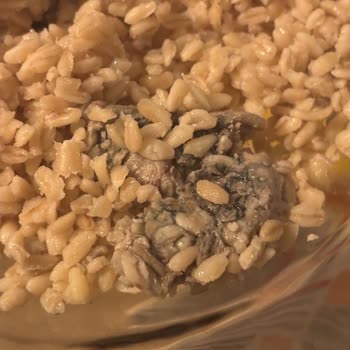 Yayla Nohutlu Bulgur Pilavında Küf Şoku