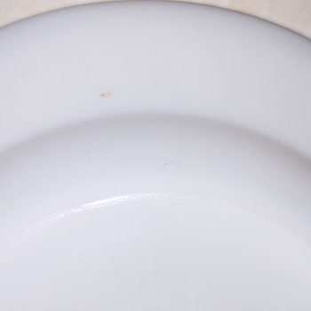 Bosch Serie 2 SMS23BW01T Silence Bulaşık Makinesi Paslanma Sorunu