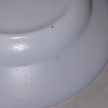 Bosch Serie 2 SMS23BW01T Silence Bulaşık Makinesi Paslanma Sorunu