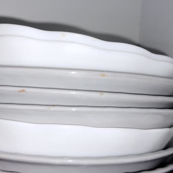 Bosch Serie 2 SMS23BW01T Silence Bulaşık Makinesi Paslanma Sorunu