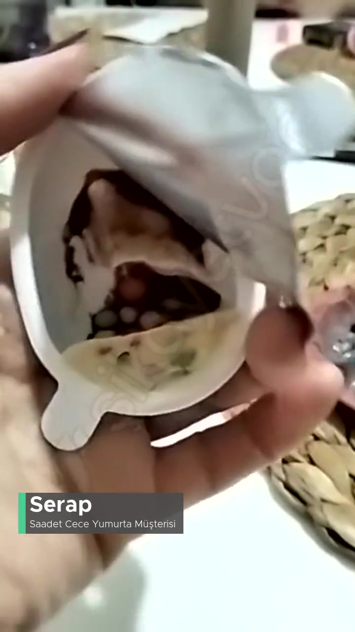 Saadet Cece Yumurta Şikayetim Var, Giderilmesini İstiyoruz! videonun kapak resmi