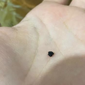 Çikolatada Diş Kıran Sert Tanecik Şoku