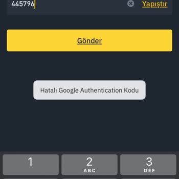 Hesap Erişim Sorunu: Şifre Ve Doğrulama Kodu Hatası
