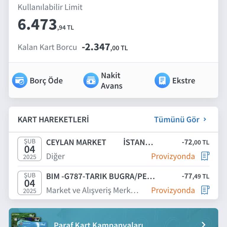 Halkbank Mobil Uygulama Borç Ödemesi Sorunu