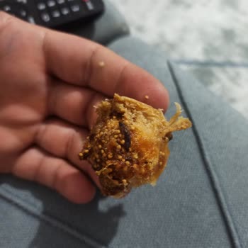 Kuru İncirden Çıkan Böcek Ve Küf Şoku
