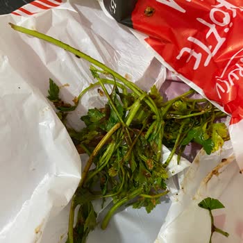 Komagene Dürümün İçinden Çıkanlar