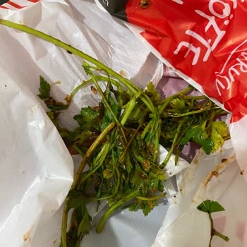 Komagene Dürümün İçinden Çıkanlar