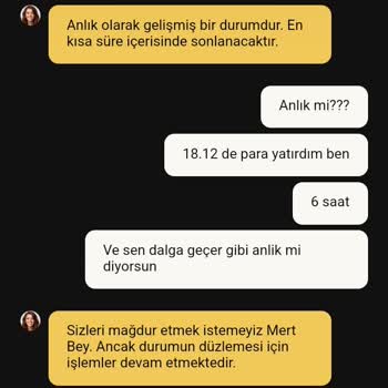 Güncellemeler Ve Müşteri Hizmetleri İle İlgili Hayal Kırıklığı