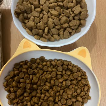 Yanıltıcı Ürün Teslimatı Ve Müşteri Mağduriyeti