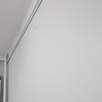 Polisan Boya Renk Fiyaskosu: Gri Beklerken Mavi Şoku