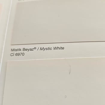 Polisan Boya Renk Fiyaskosu: Gri Beklerken Mavi Şoku