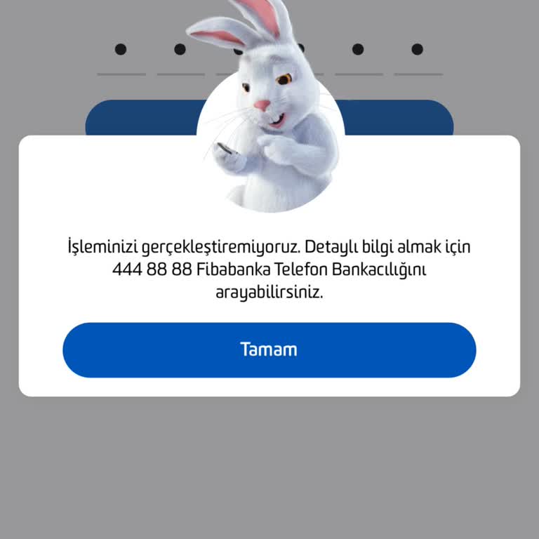 Fibabanka'da 48 Saatlik Erişim Engeli Krizi