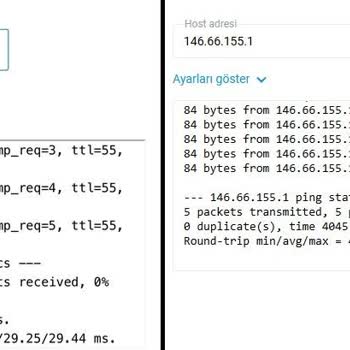 Sabit IP Sorunu Ve Yüksek MS Değerleri
