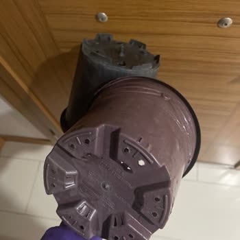 Afrodit Çiçek Kağıthane Kötü Hizmet