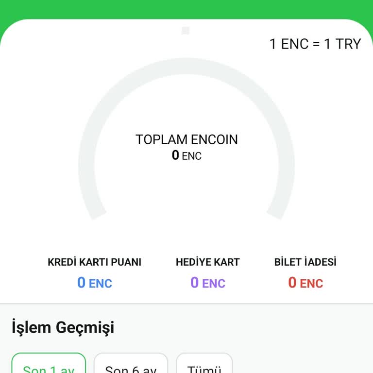 Ödeme Yapıldı, Bilet Alınamadı: Enuygun Sorunu