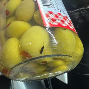 Cebel Marka Zeytinde Böcek Şoku: Sağlık Tehdidi Mi?