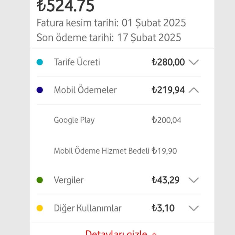 Yanlış Yansıtılan Google Play Ücreti