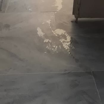 Kırık Balık Yağı Şişesi: Ev Ve Bina Temizliği Kabusu