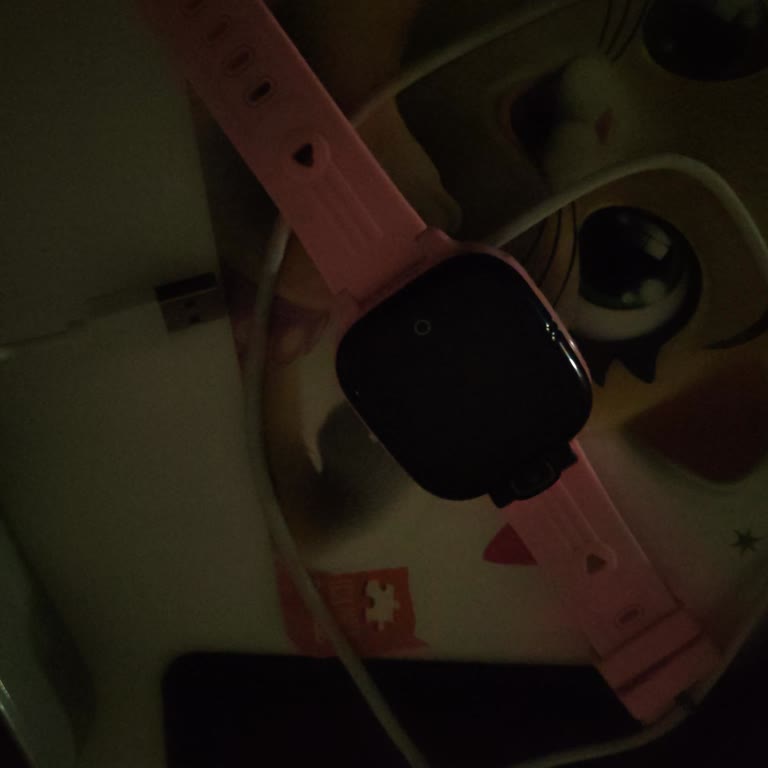 Reeder Kiddo 2 Şarj Sorunu: Acil Destek Bekliyorum!