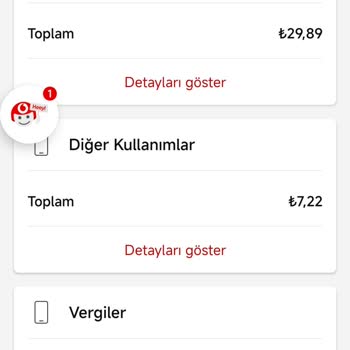 Yanlış Fatura Ve Belirsiz Harcamalar