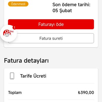Yanlış Fatura Ve Belirsiz Harcamalar