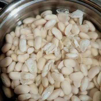 Duru Fasulye Kalitesi Hayal Kırıklığı Yarattı