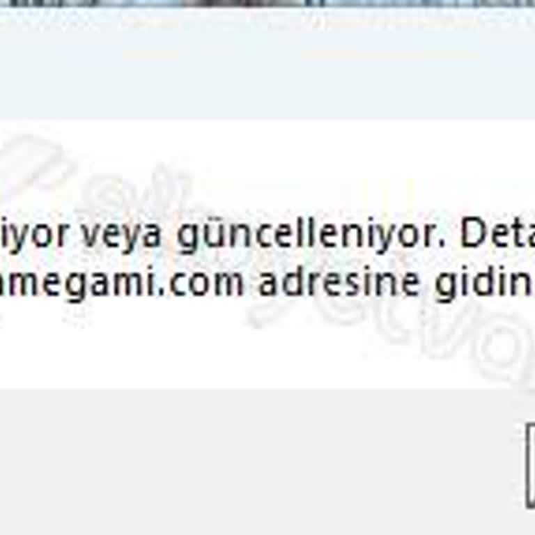 Tekrarlayan Sorun: Atlantisnet'te Oyun Başlatma Problemi