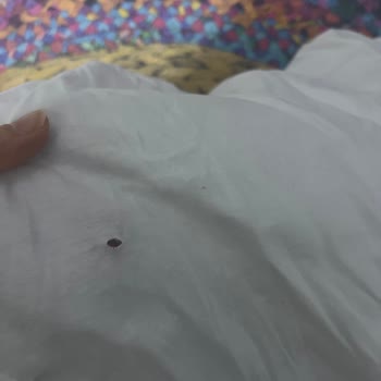 Arçelik Çamaşır Makinesi Hayal Kırıklığı