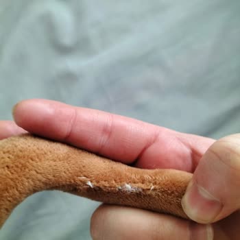 Peluş Oyuncak Güvenlik Sorunu