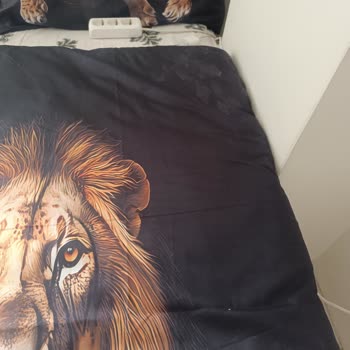 Lekeli Yatak Örtüsü Sorunu