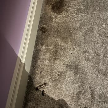 Gerçek Dışı Fotoğraflar Ve Kötü Hizmet