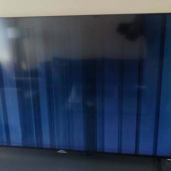 Sunny TV İle Hayal Kırıklığı