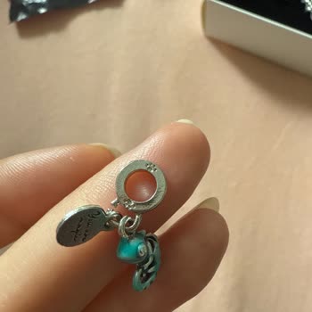 Morina Takı Gelen Charmlar Bildiğin Plastik