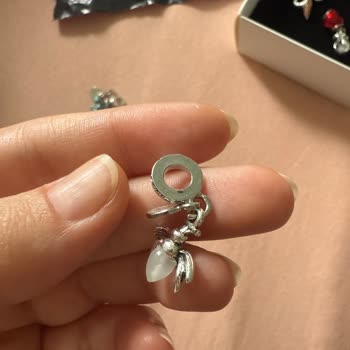 Morina Takı Gelen Charmlar Bildiğin Plastik