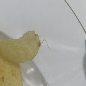 Lays Paketinde Tüy Benzeri Yabancı Madde Şoku